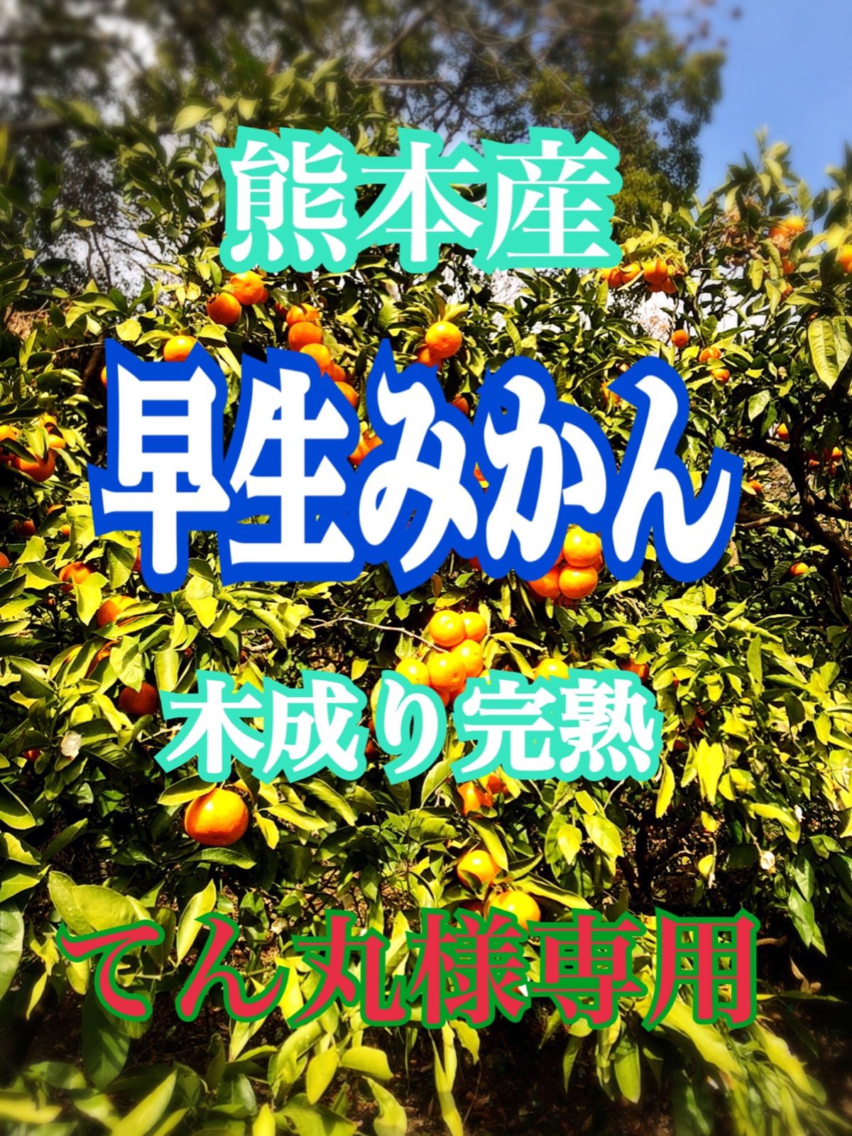 こだまの店様専用 特価品蔵出し特集 ag93.com.br