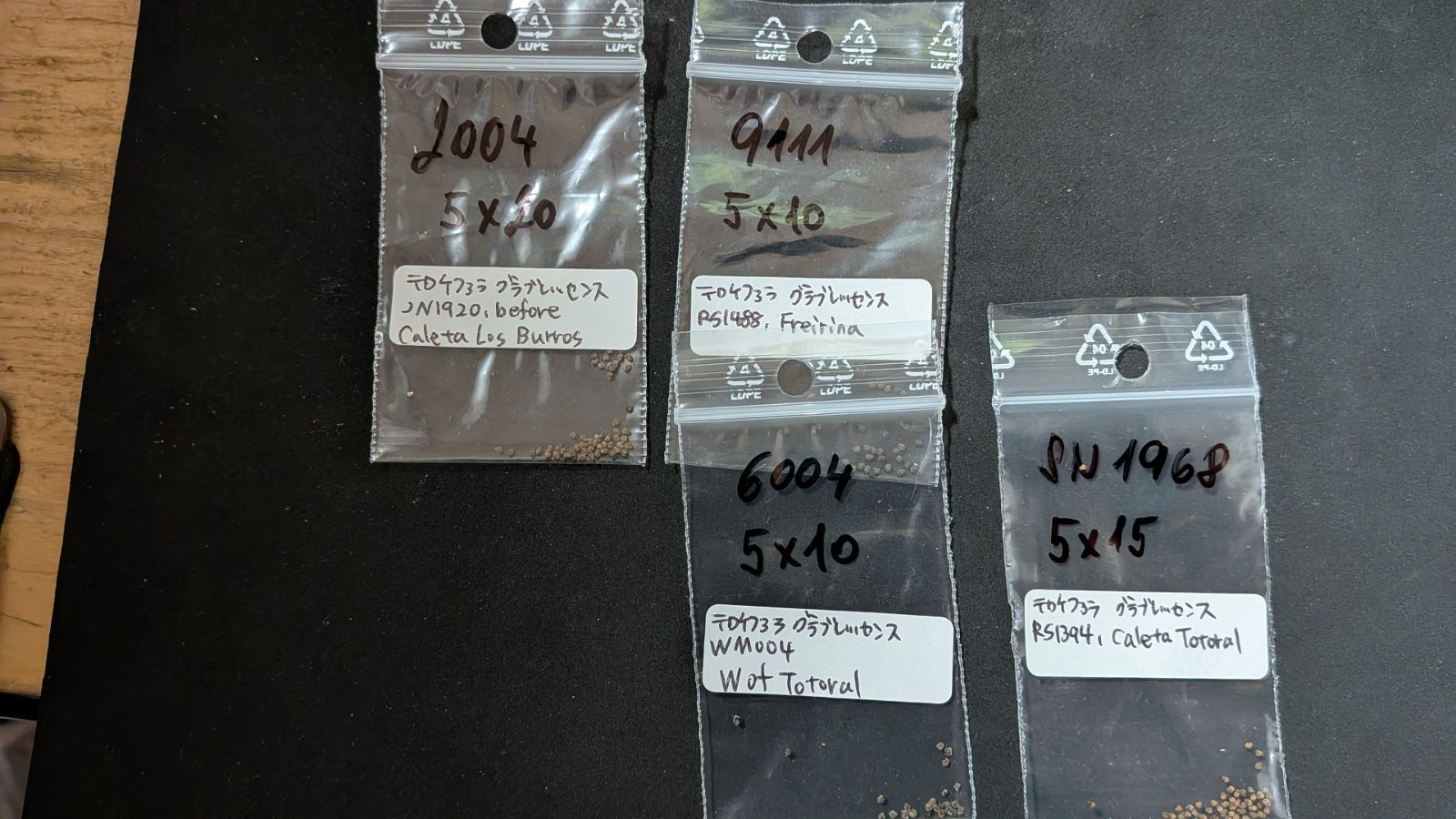 50種類セット 各15粒ずつ