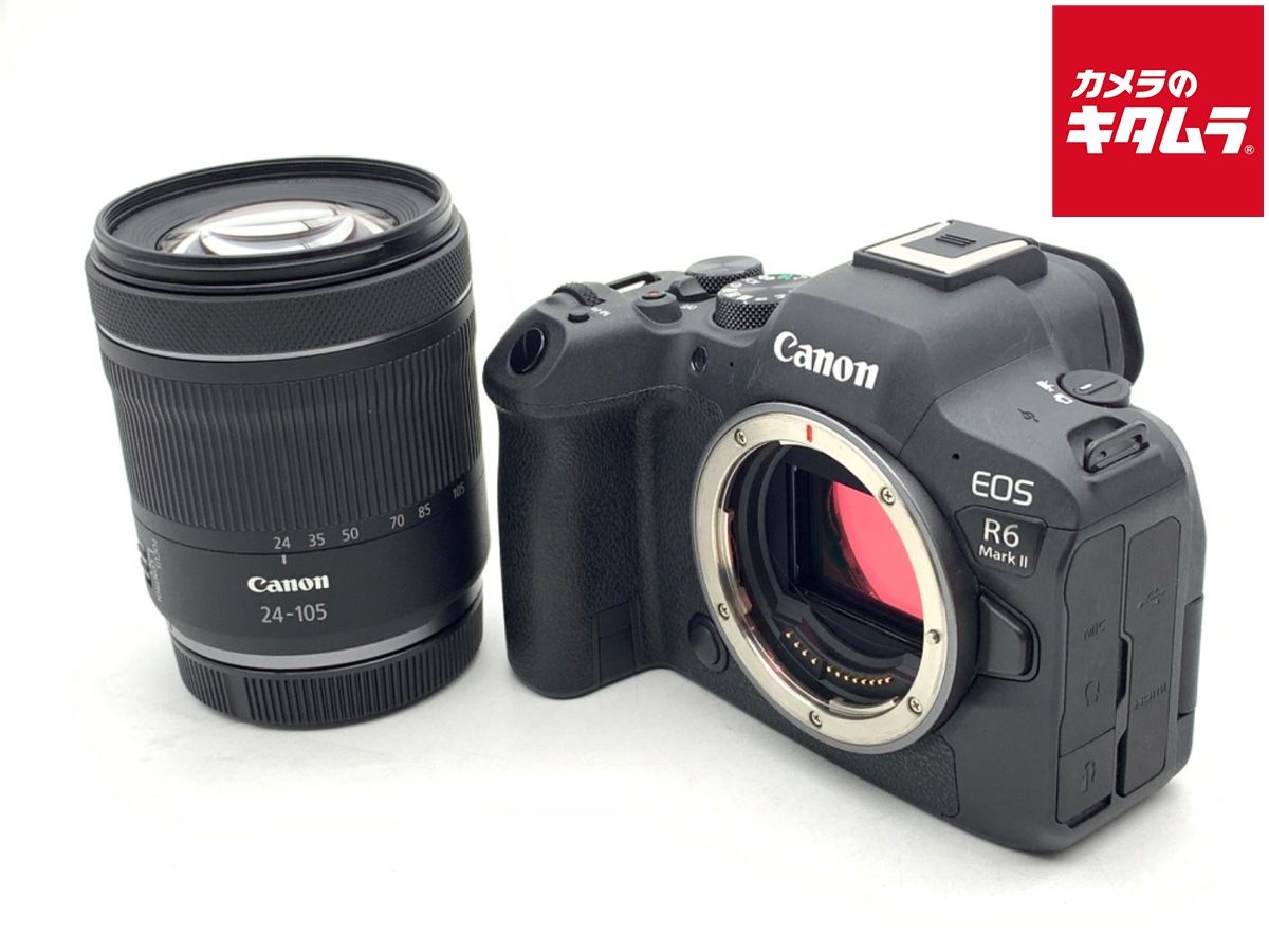 LUMIX G9 PRO ボディ本体 +予備バッテリー等（Panasonic