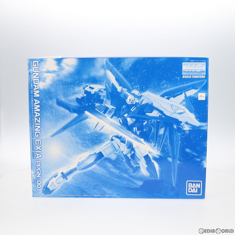 プレミアムバンダイ限定 MG 1/100 PPGN-001 ガンダム