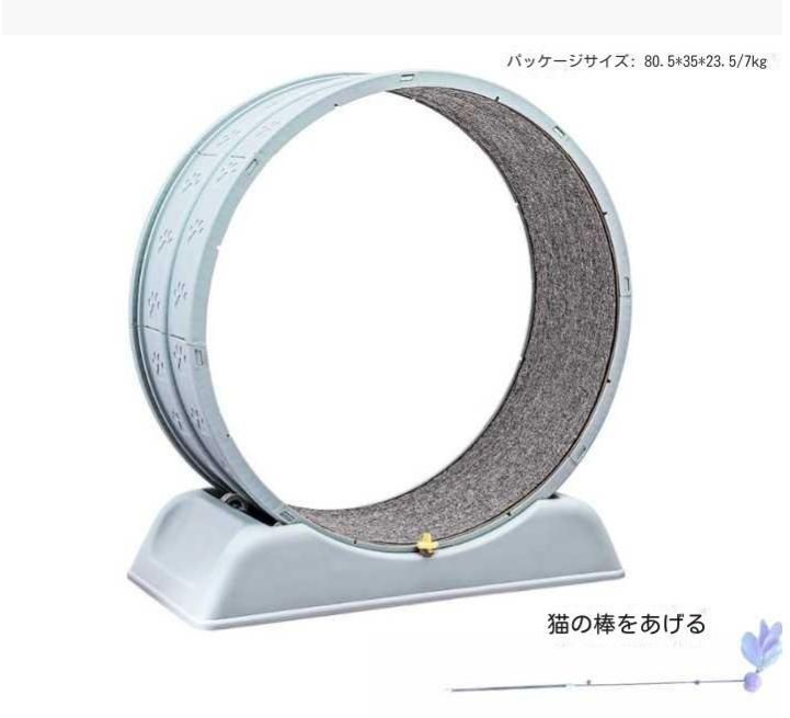 安全 エクササイズ