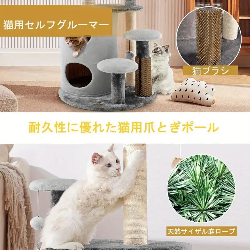 小型猫 中型猫