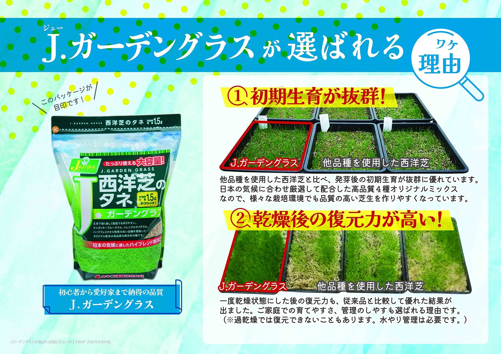 カネコ種苗 約9坪 1.5L グリーン J ガーデングラス 西洋芝のタネ