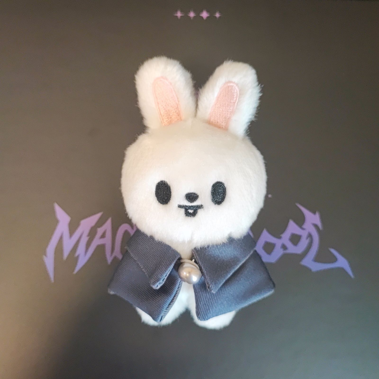 【Stray Kids】 4TH FANMEETING SKZ'S MAGIC SCHOOL ペンミ グッズ　ぬい 10cm ver.《リービット Leebit リノ》 ※匿名配送