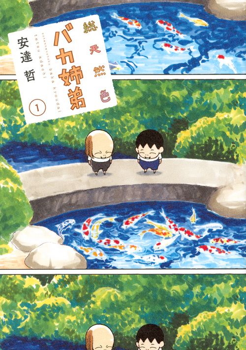 「総天然色 バカ姉弟」　1〜4巻　安達哲 総天然色バカ姉弟 1/講談社/安達哲（コミック） - メルカリ