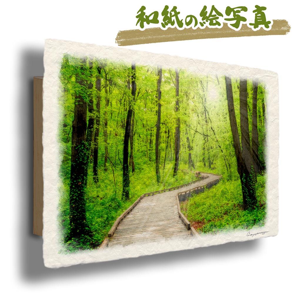 和紙の絵写真 「雨上がりの新緑の木道」 パネル付き 48x33cm