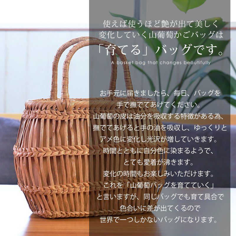 やまぶどう 蔓