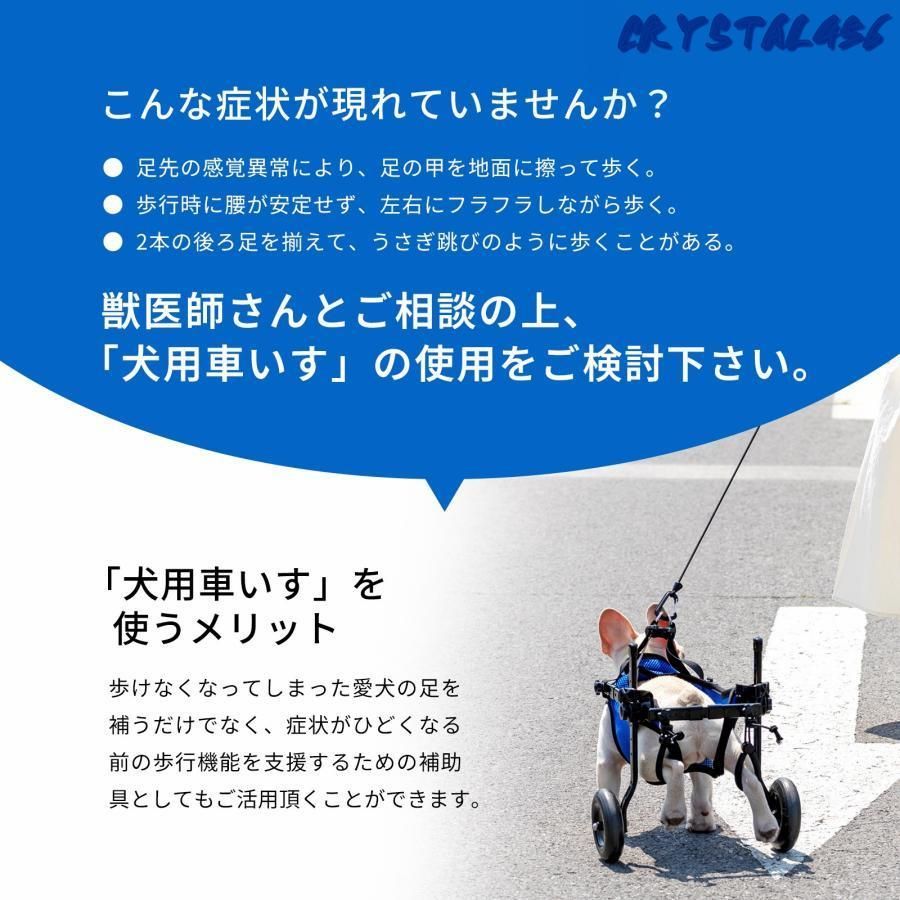 猫 散歩