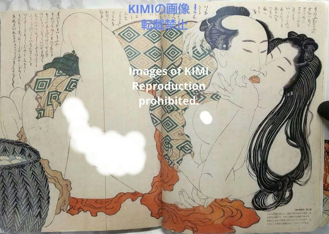 春画 江戸の絵師四十八人 別冊太陽 ペーパーバック 白倉 敬彦 平凡社 