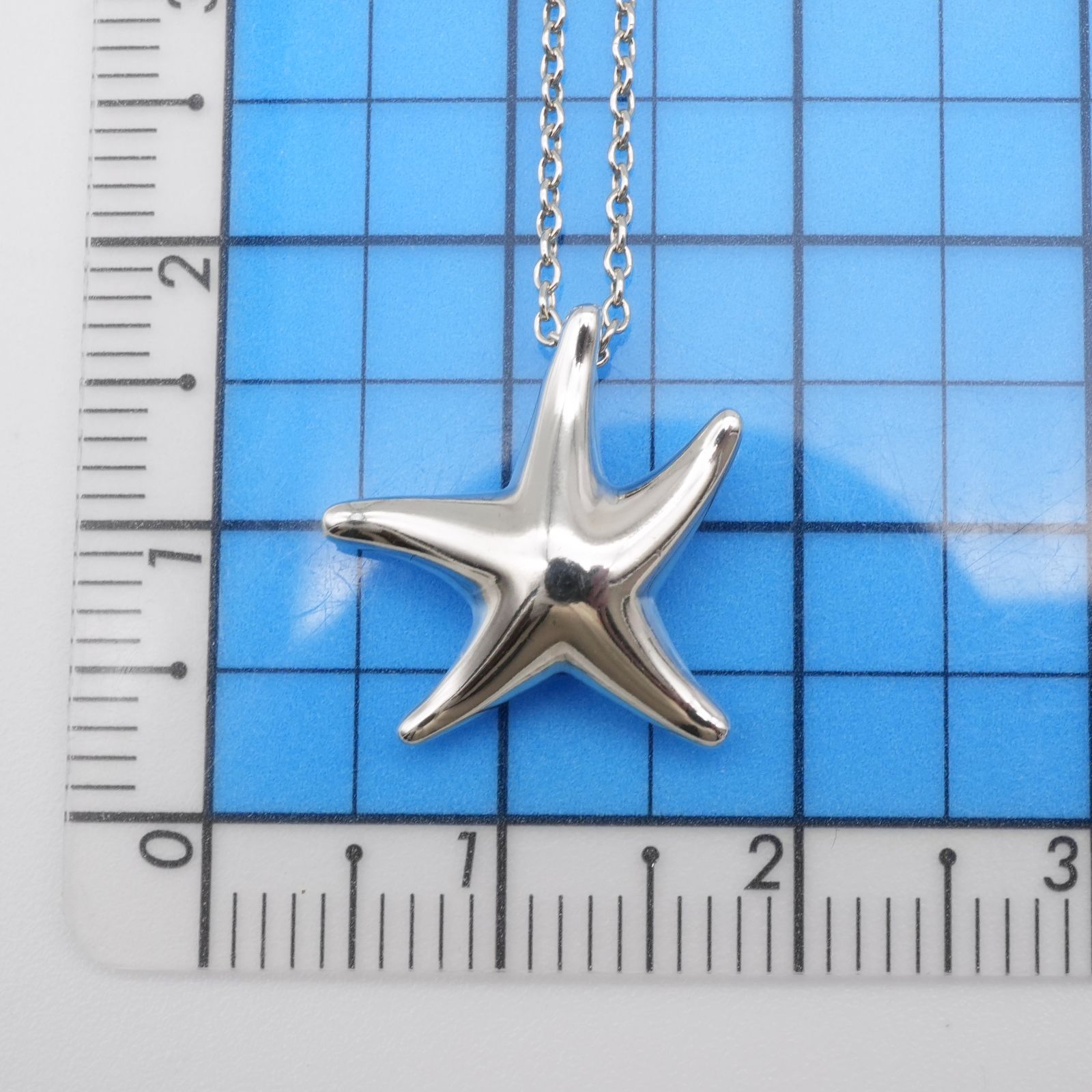 ※セール最終日※Tiffany/スターフィッシュ/シルバーネックレス925 極美品 ティファニー スターフィッシュ シルバー ネックレス/24