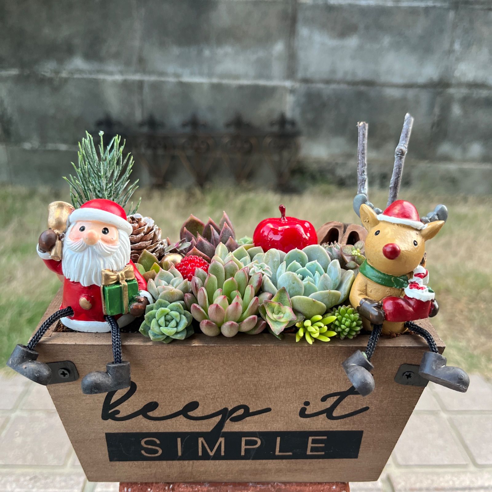 ♡そのまま飾れる♡クリスマスの多肉植物寄せ植え