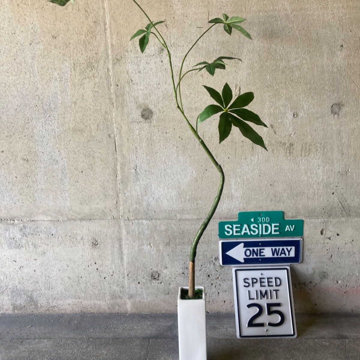 光触媒 人工観葉植物 ウォールグリーン フェイクグリーン 細々