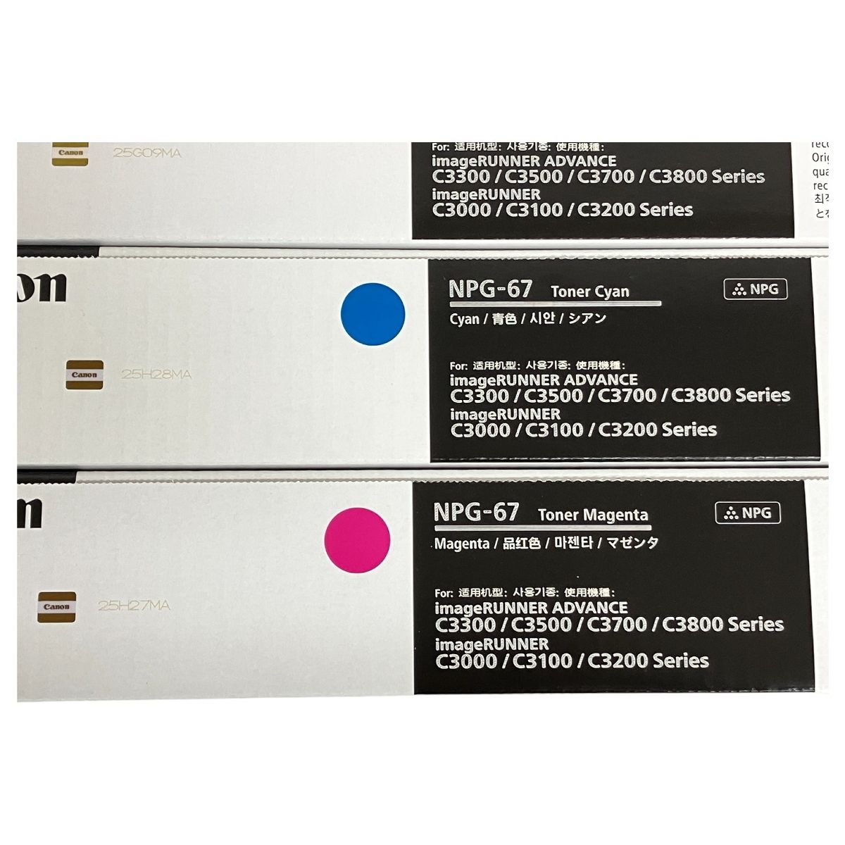 イエロー ブラック