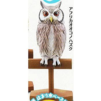 【中古】【非常に良い】カプセルQミュージアム 福をよぶ フクロウ大全3 ［3.アフリカオオコノハズク］(単品)