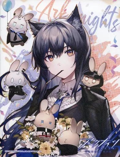 キャンバスボード キャンバスアート テキサス キャンバスボード 思いに馳せて アークナイツ サンクスパーティ Spring 2025