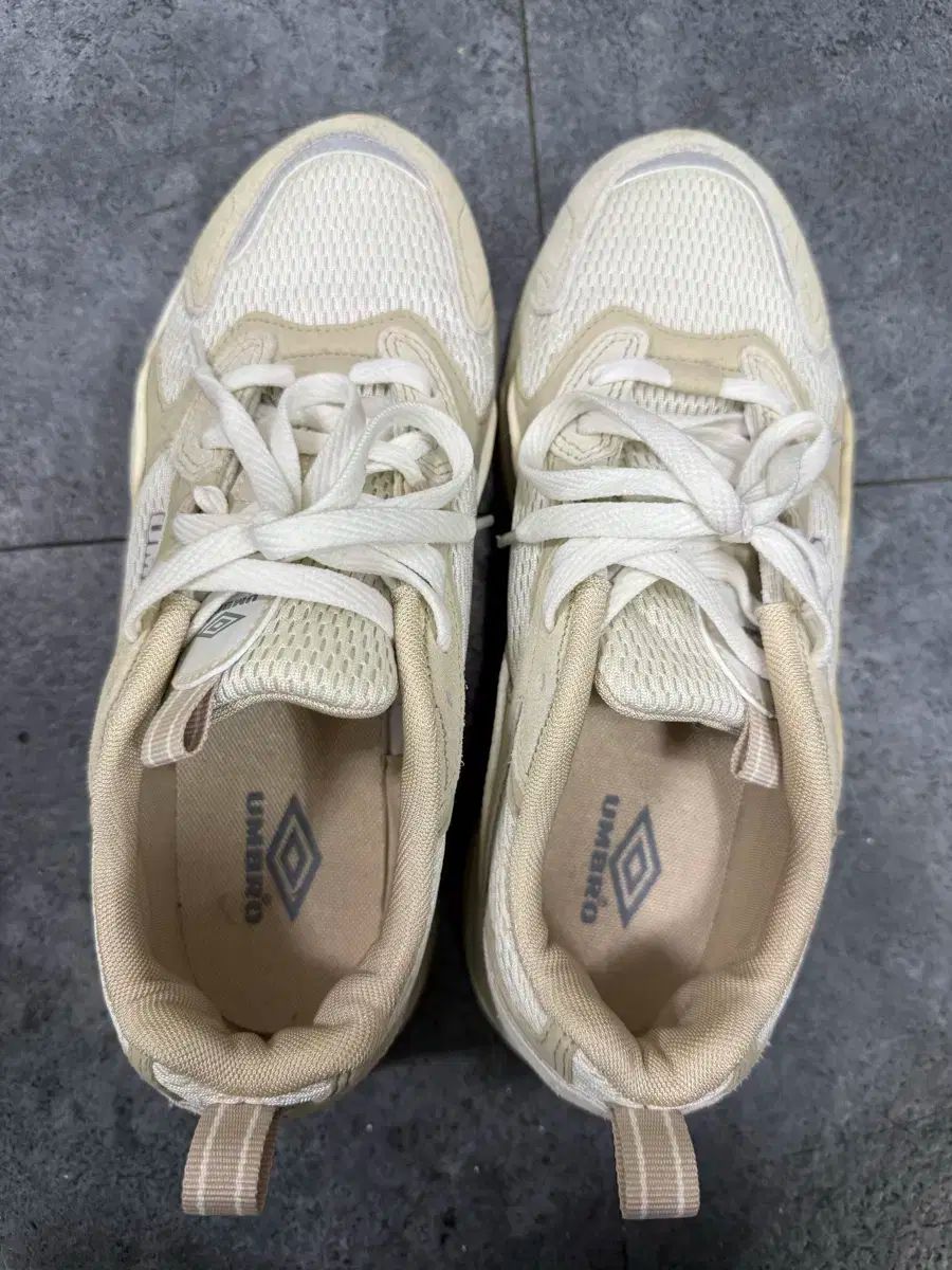 umbro アンブロ スニーカー 260