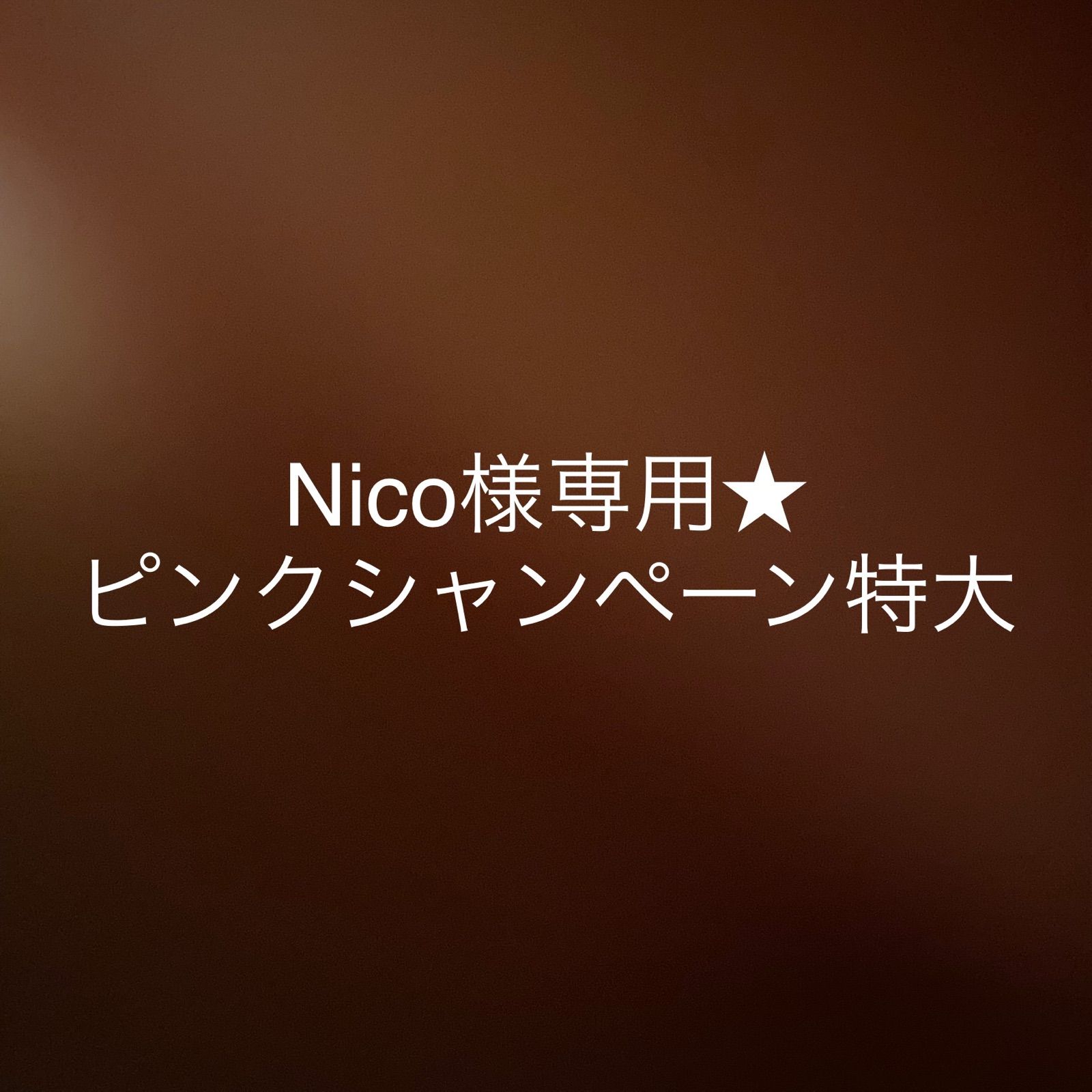 Nico様専用出品です!