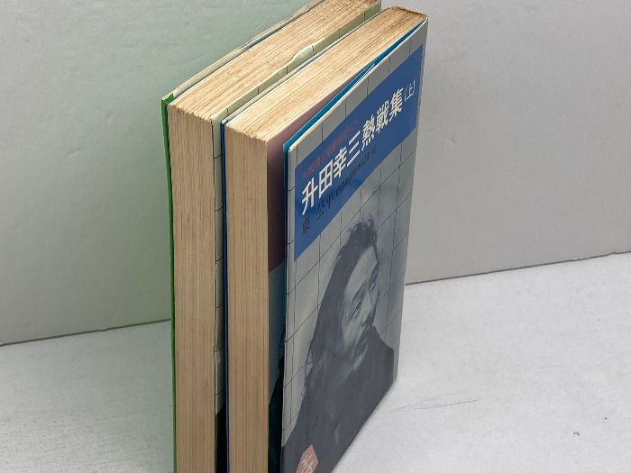 升田幸三熱戦集（上）（下）/東公平/大泉書店 升田幸三熱戦集 上下揃 東公平 大泉書店 - メルカリ