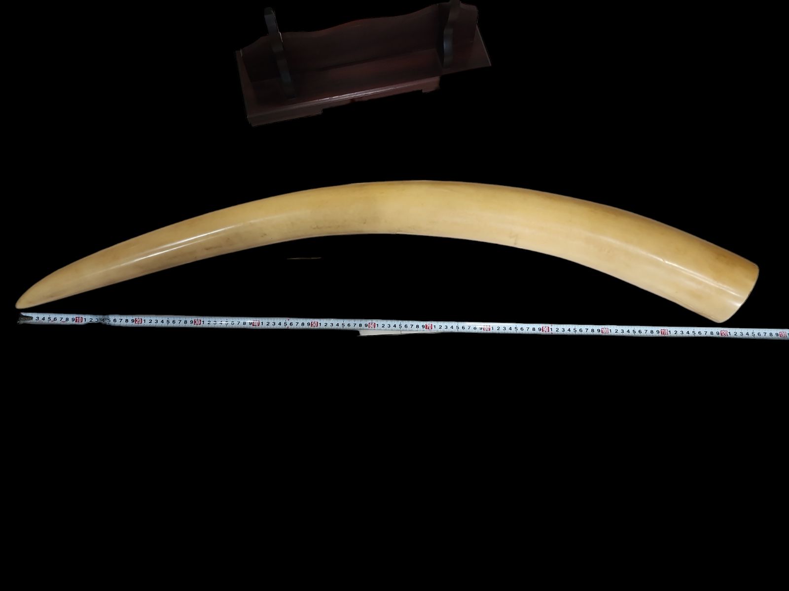 象牙風置物 練り物 一本 マンモス 特大 象牙風 置物 オブジェ