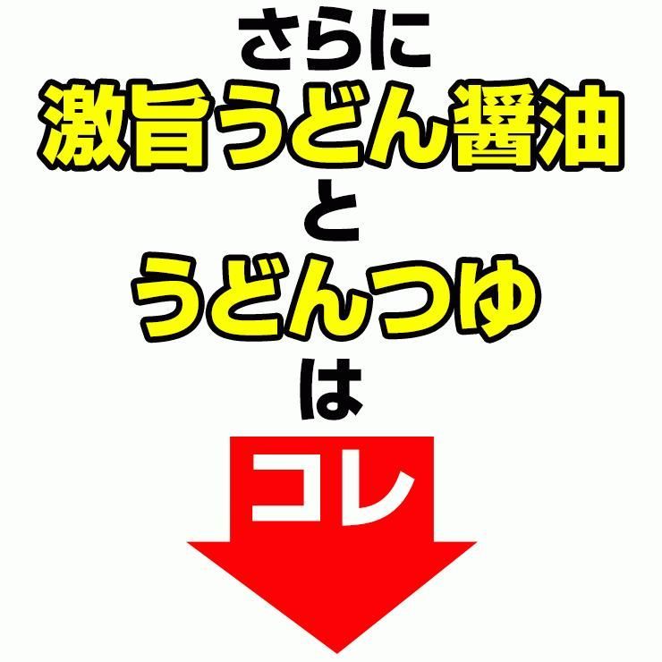 20時間熟成 半生 並麺 讃岐うどん つゆ付きセット 便利な個包装 750g 送料無料　A36