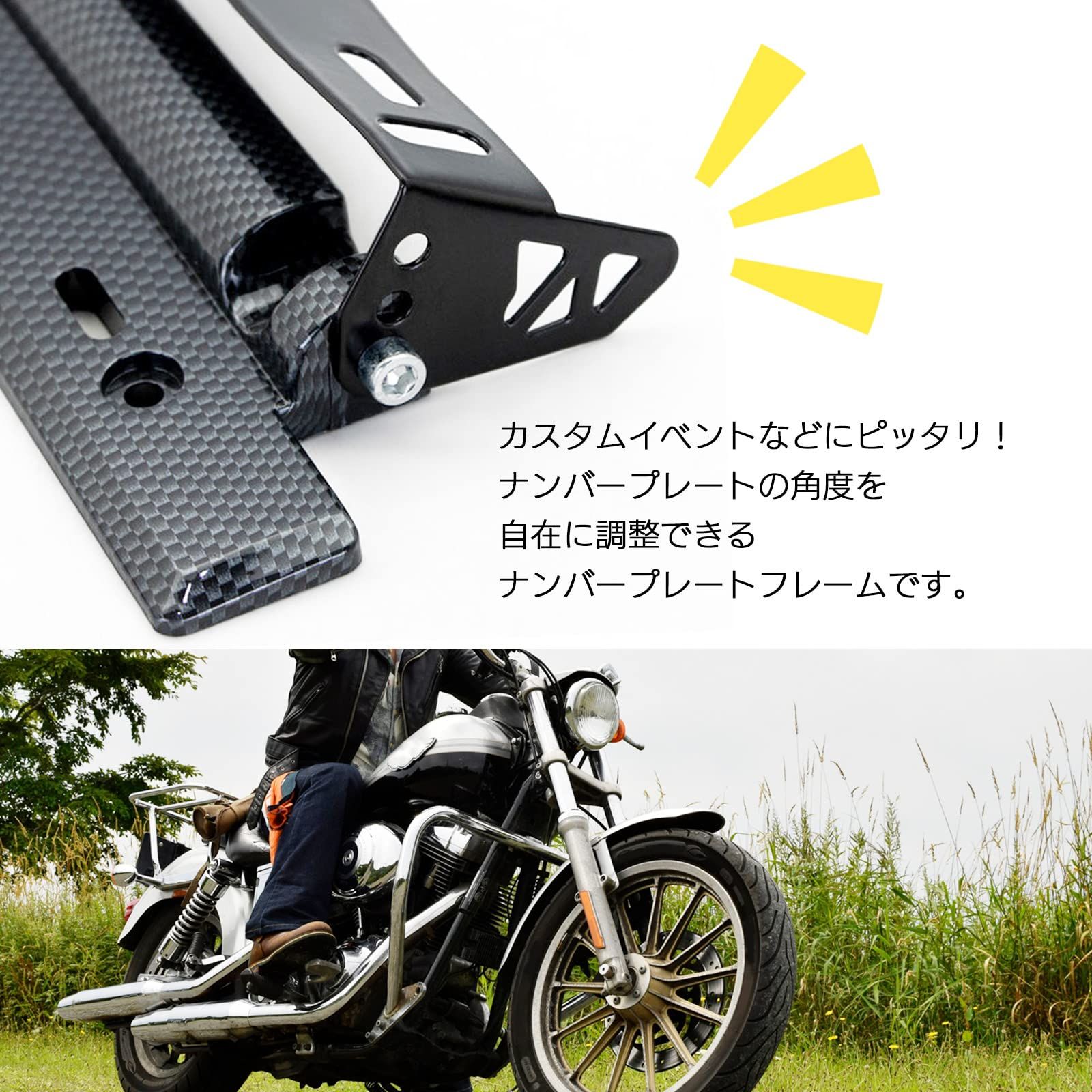 モデルノ ラ テール ナンバープレート カーボン 角度調整