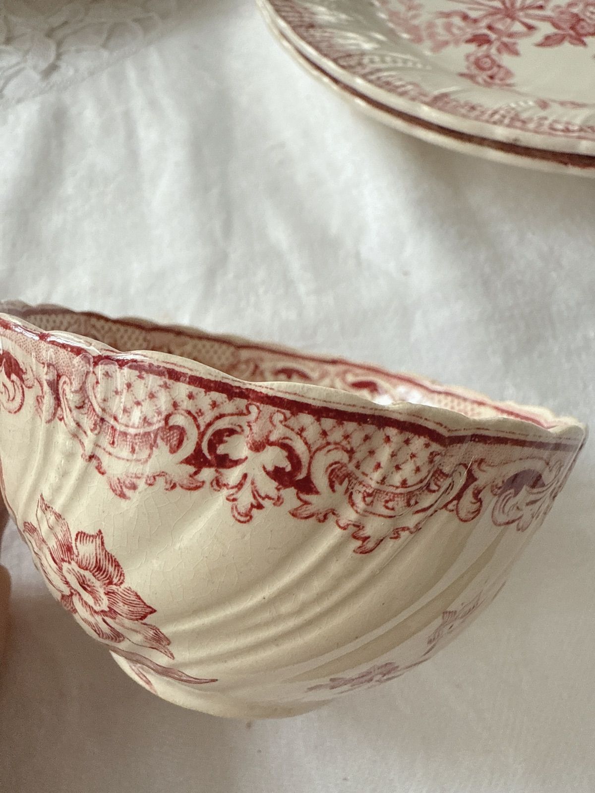 Sarregumines Fontanges サルグミンヌ フォンタンジュ ティーカップ