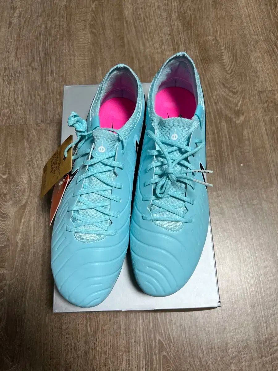 ナイキ ティエンポ レジェンド 10 エリート FGグリーン×パープル