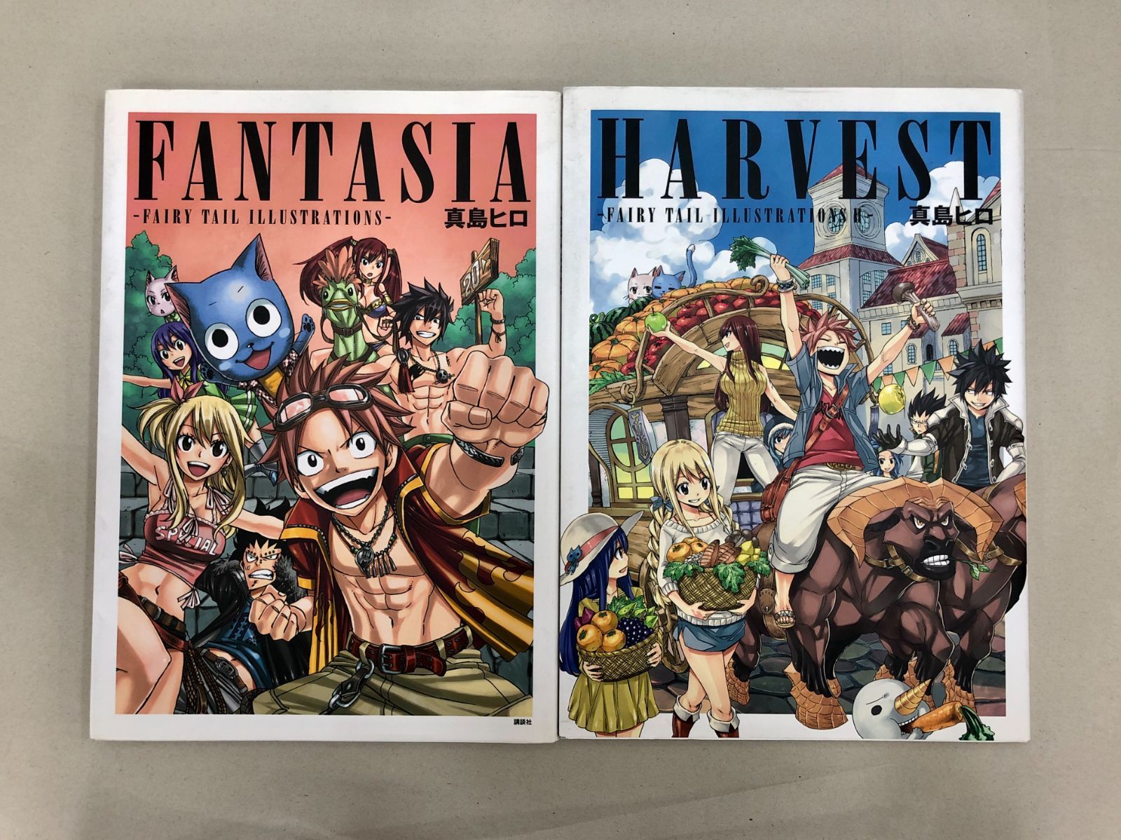小牧店】真島ヒロ イラスト集 2冊セット「FANTASIA -FAIRY TAIL