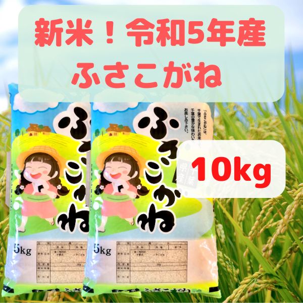千葉県産 令和5年コシヒカリ精米5kg減農薬栽培