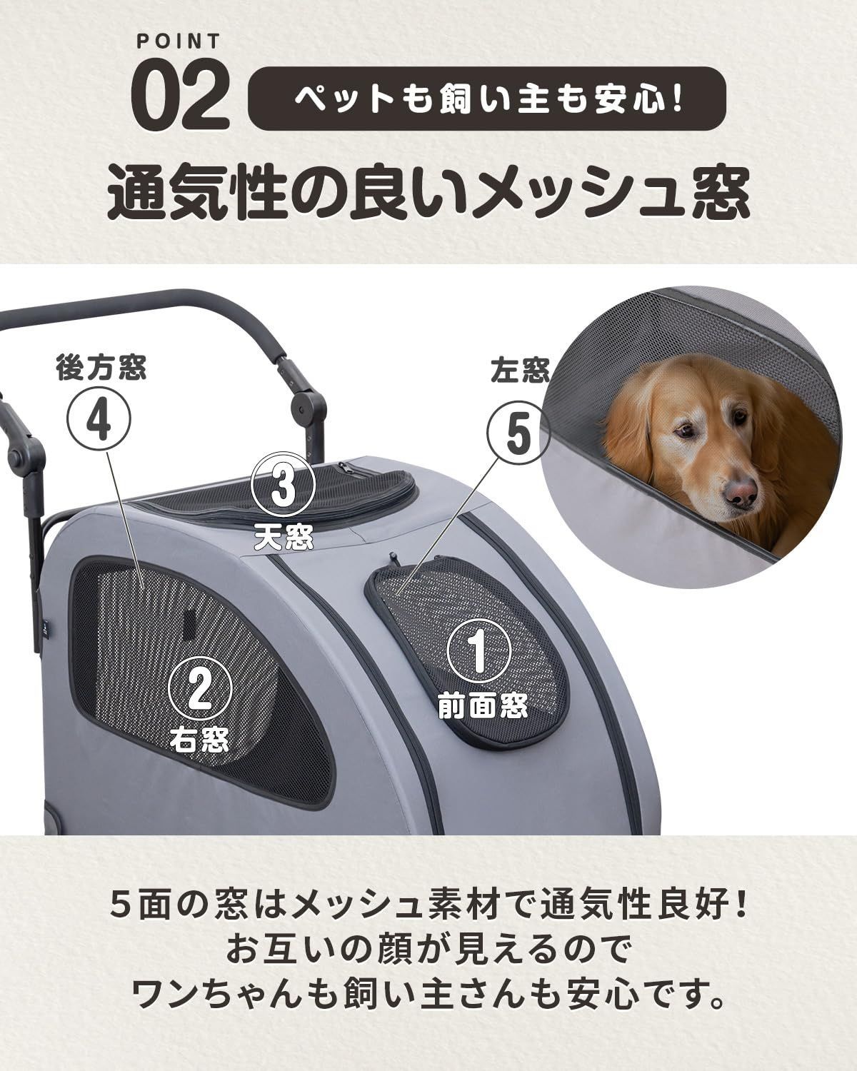 小型犬