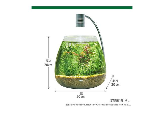 Megreen 新鮮な水草付き グラスアクア ティア―セット 小さな生態系づくりを楽しむ 観賞魚用品 水槽 セット水槽 GEX その他 水槽