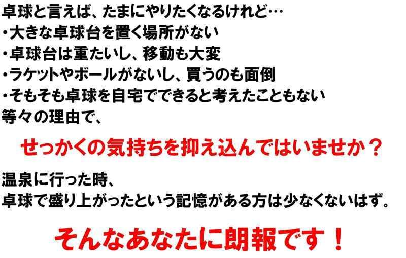 ピンポン玉付 持ち運び簡単