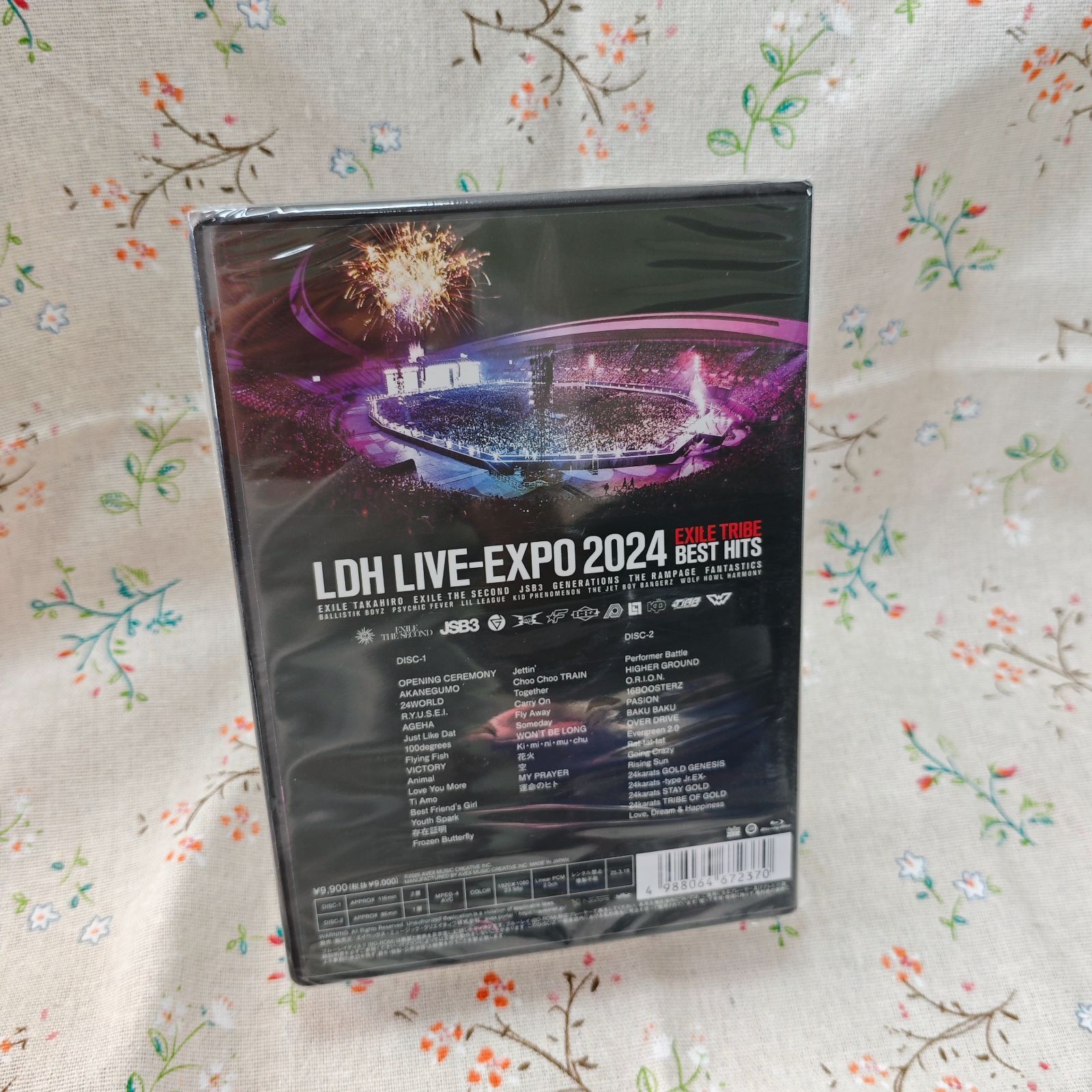 LDH LIVE EXPO 2024 BEST HITS DVD2枚組のみ LDH LIVE EXPO 2024 BEST HITS DVD2枚組のみ