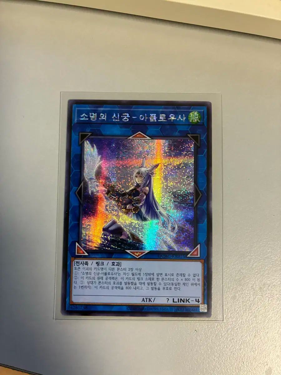 遊 戯 王 クォーターセンチュリー カードたち WWW_STEELWINDOWSANDDOORS_COM