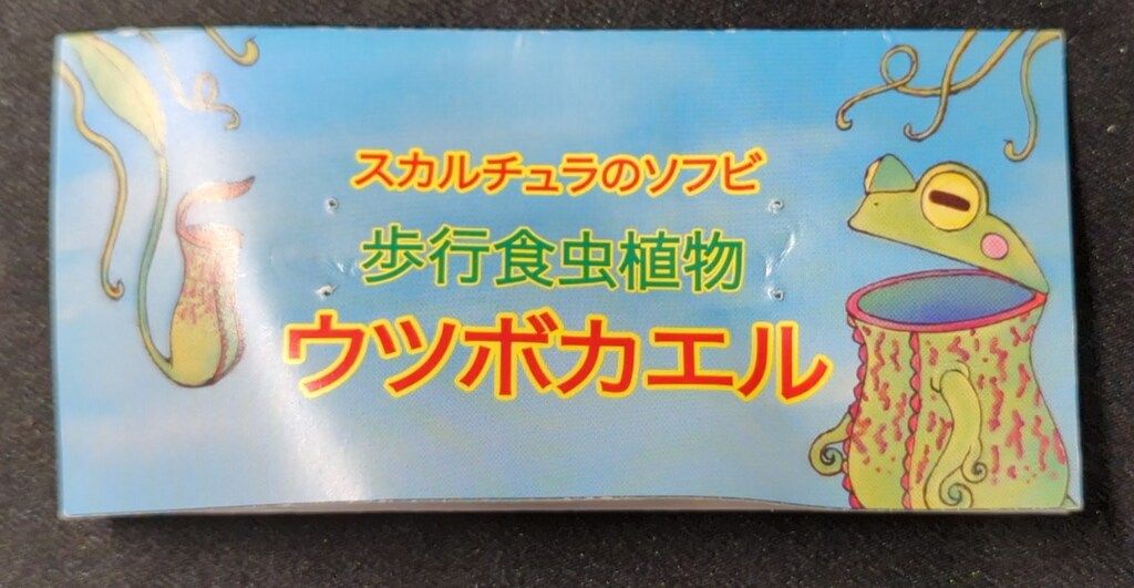 ソフビ　スカルチュラ　ウツボカエル Amazon.co.jp: ソフビ スカルチュラ ウツボカエル : おもちゃ