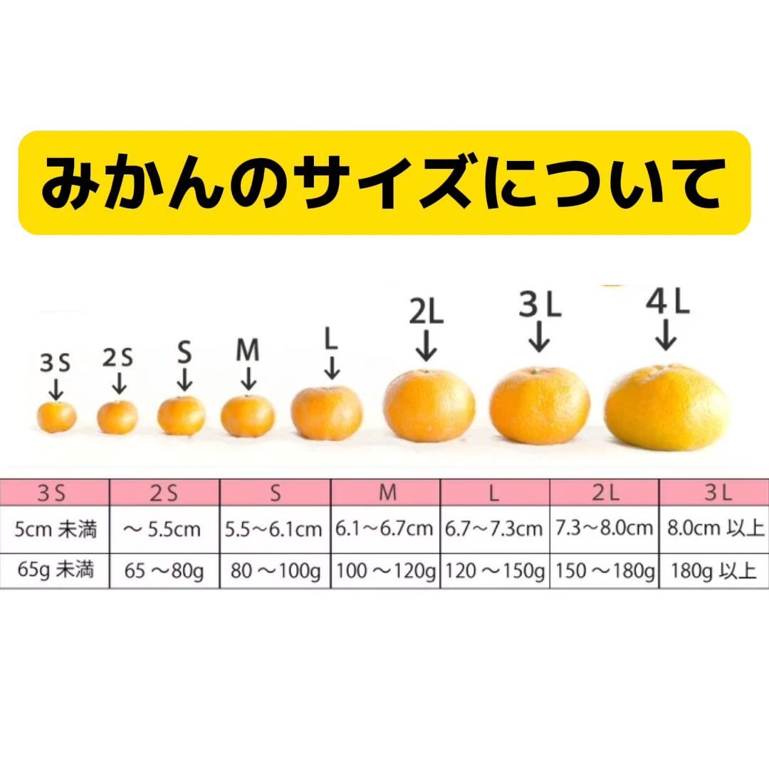 ㉓★極早生みかん 20kg!10kgよりも超お得!コスパ最高 農家直送