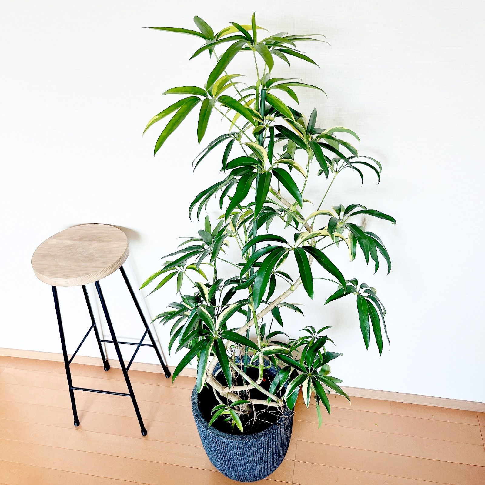 ご購入済　リメイク缶　リメイク鉢　水さし　 おねむなうさぎさんピンクフラワー ご購入済 リメイク缶 リメイク鉢 水さし おねむなうさぎさんピンク