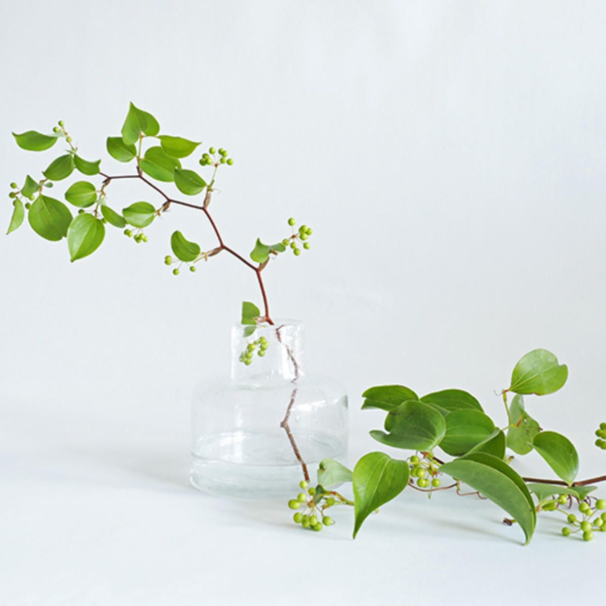 花瓶 DGボトルベース 直径15×高さ15cm クリアー ガラス （ おしゃれ