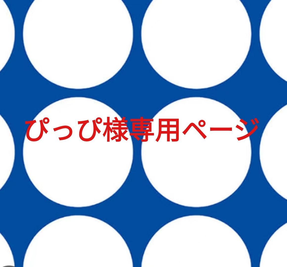 ぴっぴ様専用ページです。 - メルカリ