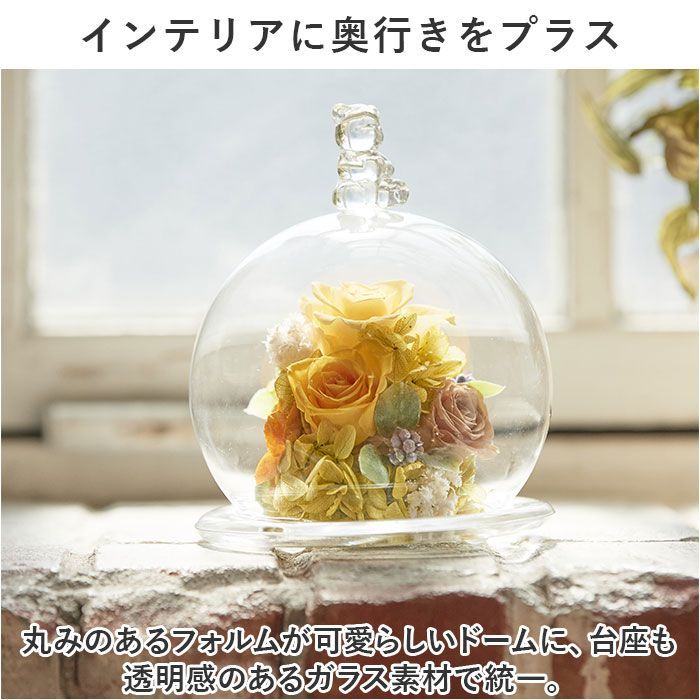 ☆ スモールワールド ガラスドームケース プリザーブドフラワー