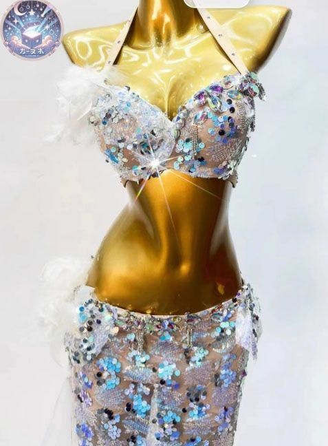 ベリーダンス衣装 上下セット 羽根 ブラ スカート オーダーメイド 新品 未使用 新作 ベリーダンス衣装 上下セット 羽根 ブラ