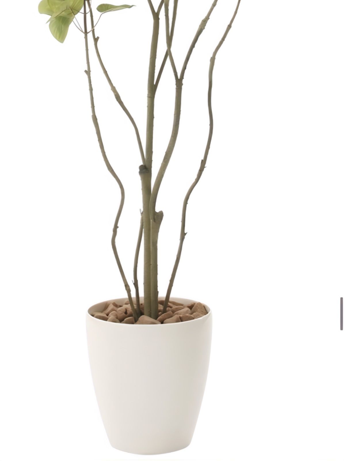 光触媒 人工観葉植物 フェイクグリーン フィカスブランチツリー1.3m130 光触媒 人工観葉植物 フェイクグリーン フィカスブランチツリー1.3m130