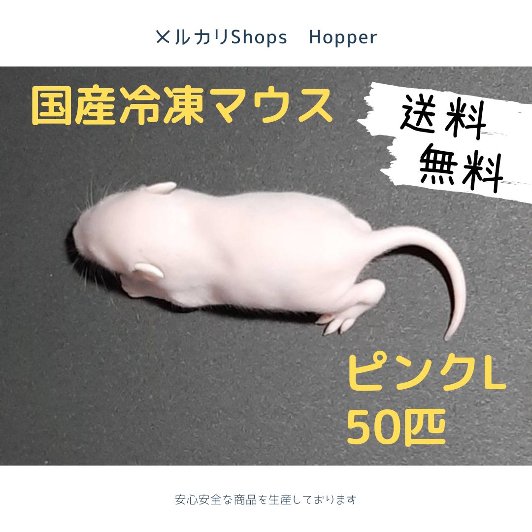 ☆葉っぱ☆国産冷凍マウス ピンクL 50匹ホッパーL20匹 国産 冷凍マウス ピンクL 50匹 (北海道沖縄発送可) - メルカリ