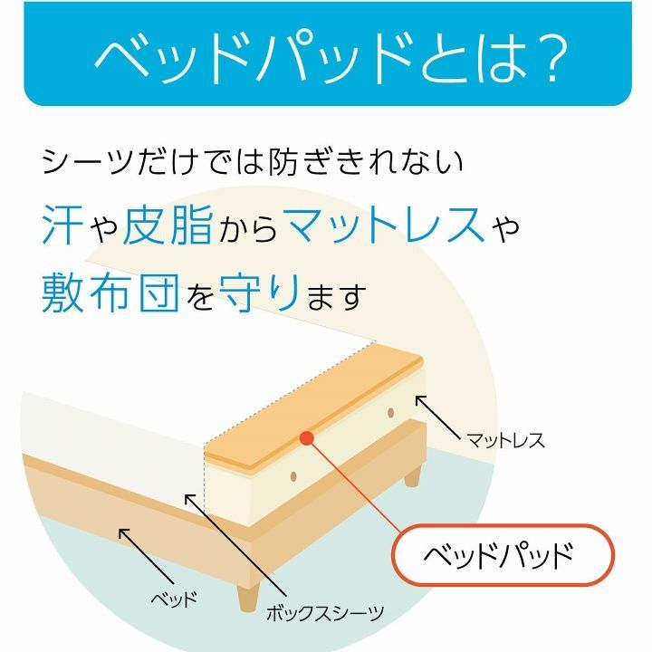 オールシーズン