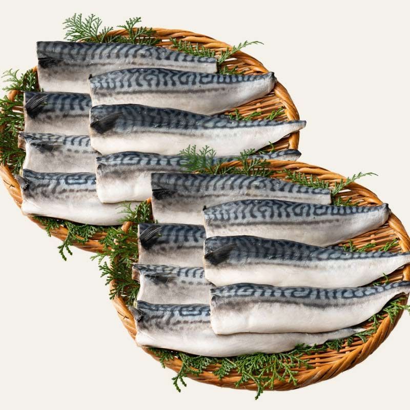 12-16尾 トロ鯖