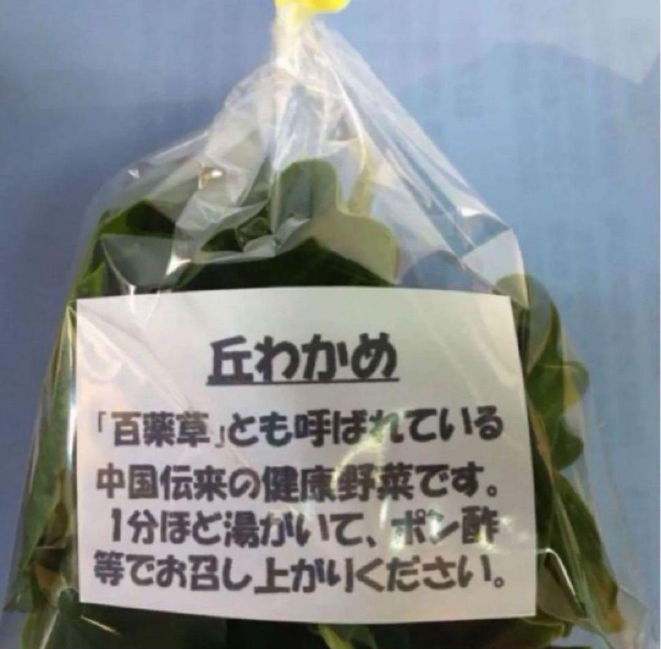 オカワカメ おかわかめ 約200g 雲南百薬 無農薬自然栽培