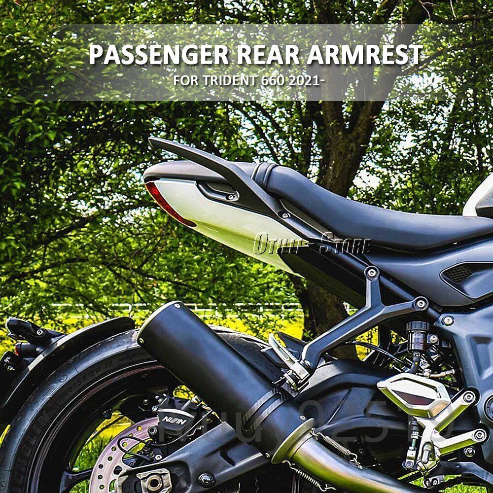 送料無料 Triumph トライアンフ トライデント660 2021-2025 アームレスト グリップ リア 後部座席 助手席 アルミ