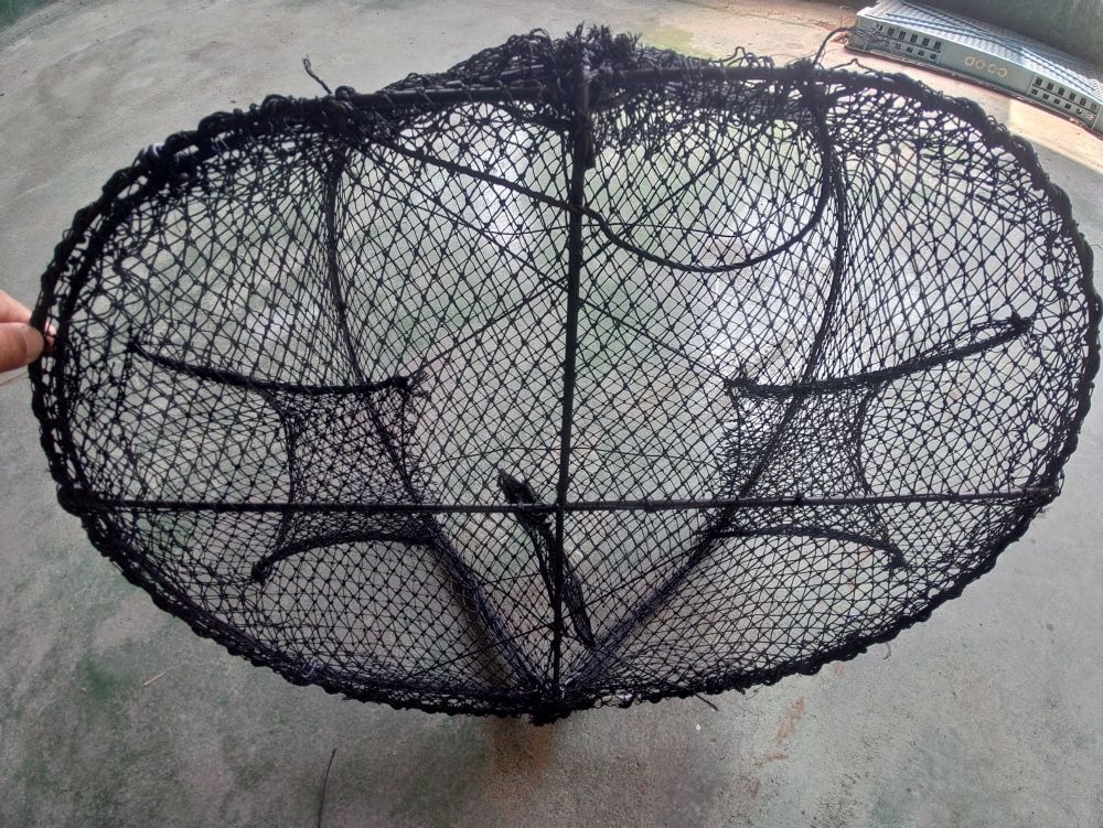 魚捕り 丸リング