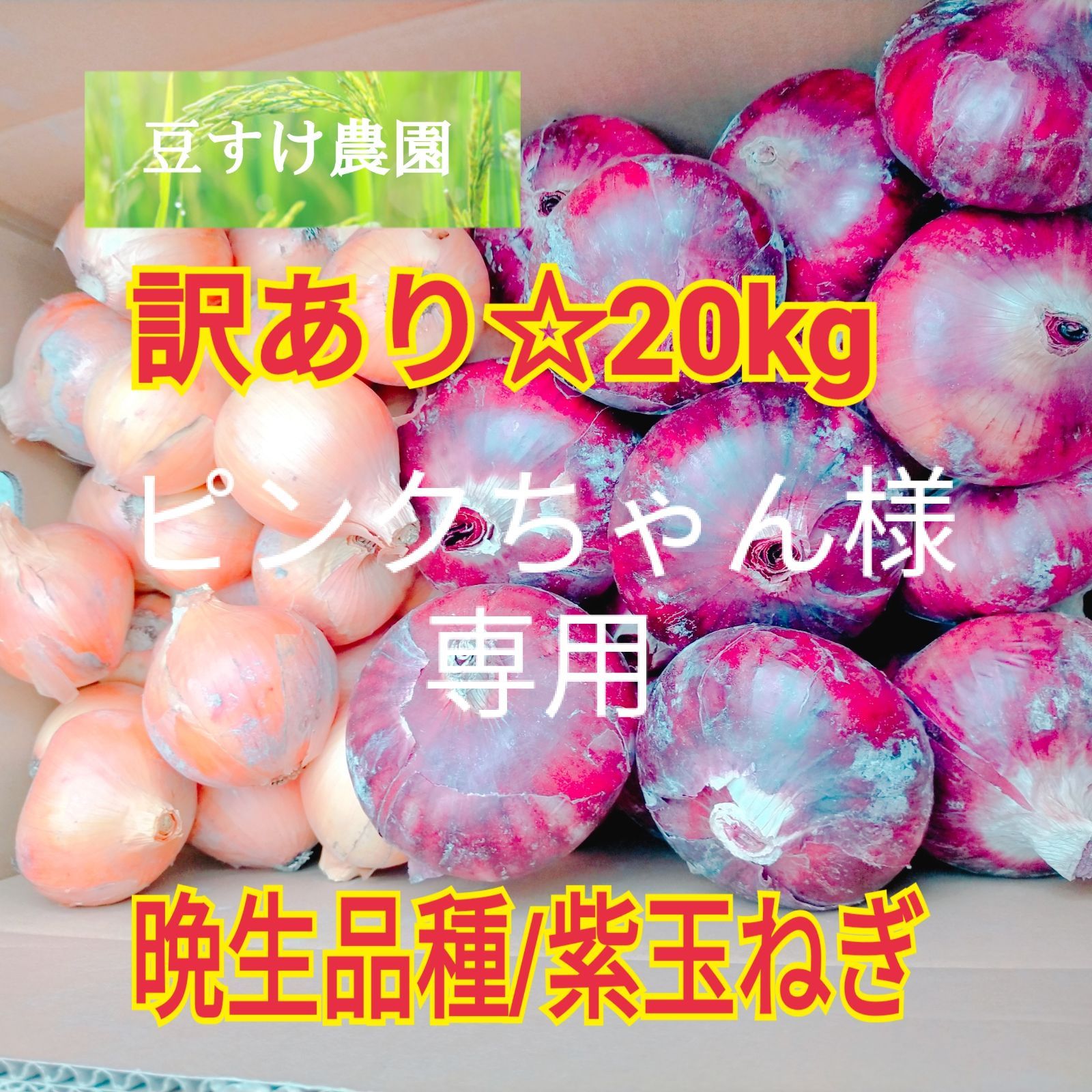 ピンクちゃん様専用 玉ねぎ 晩生品種/紫玉ねぎ 訳あり 20kg - 豆すけ