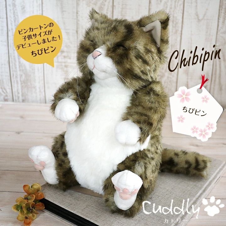 新品】ちびピン 猫のぬいぐるみ ｜Cuddly カドリー 猫ぬいぐるみ｜ - メルカリ